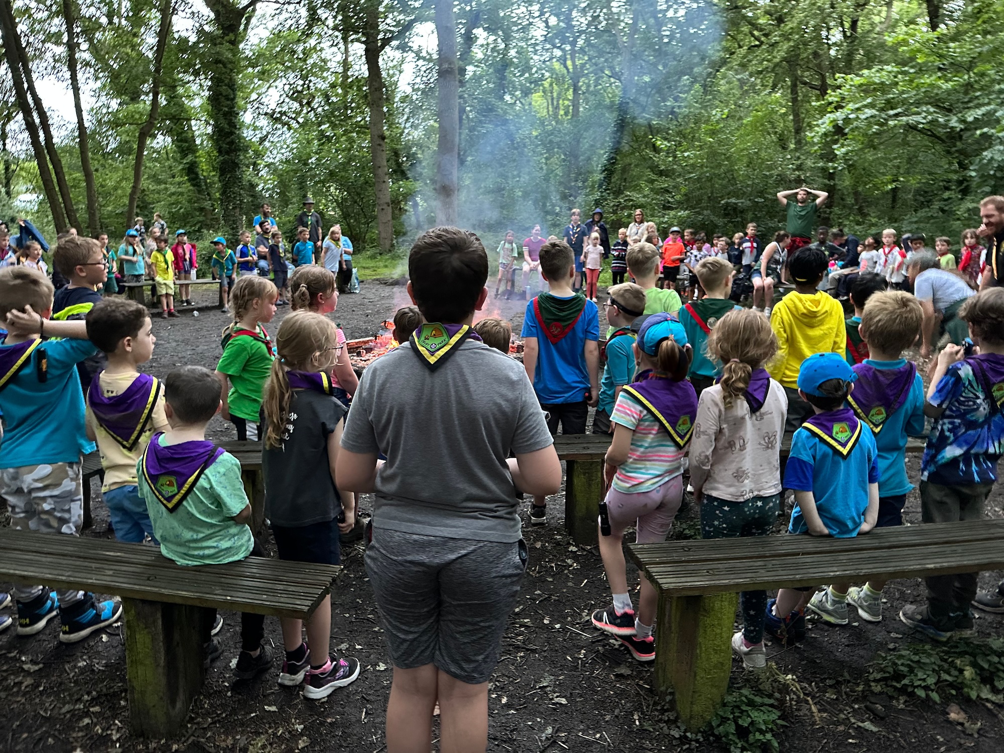 Image of Scouts around a campfire in the woods